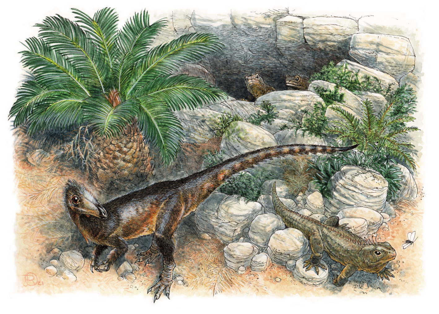 Image thanks to James Robbins, via Wikimedia Commons
