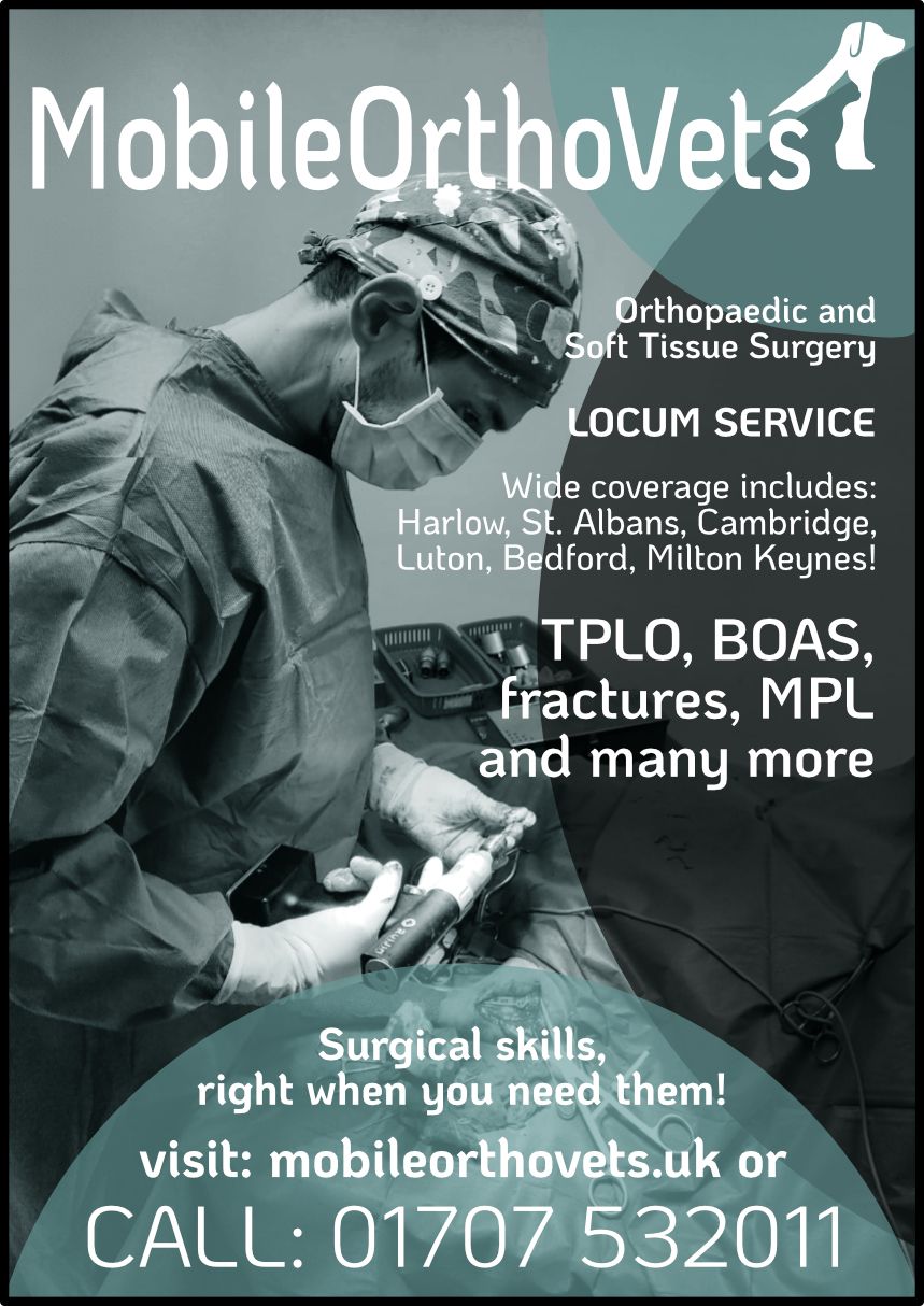 TPLO and soft tissue surgery at your practice!